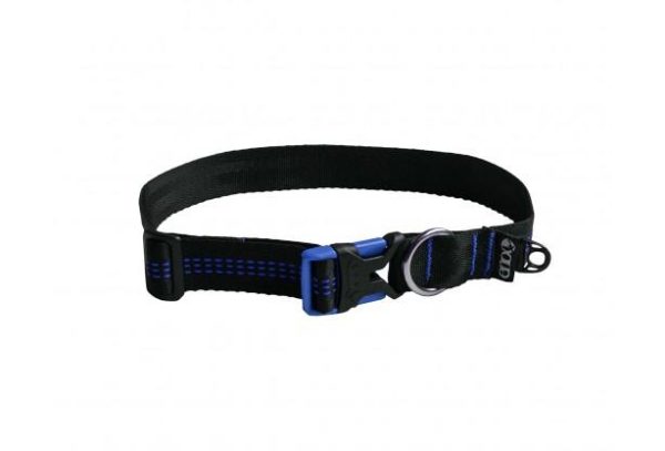 reCollar?