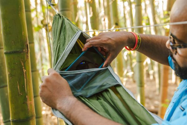JungleNest? Hammock - Image 14