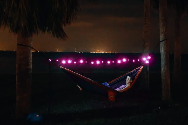 Twilights? Camp Lights - Image 3