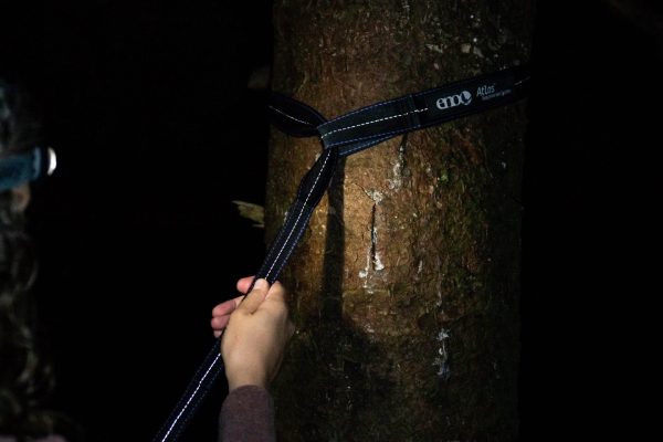 Atlas? Hammock Straps - Image 5